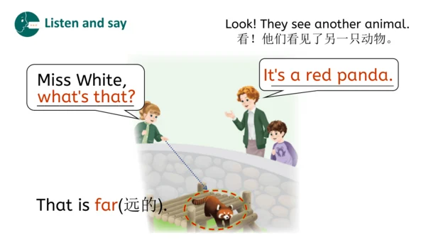 Unit 3 Amazing animals Part B Let's talk（优课）课件（21张