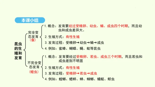 7.1.2昆虫的生殖和发育课件-人教版生物八年级下册(共26张PPT)