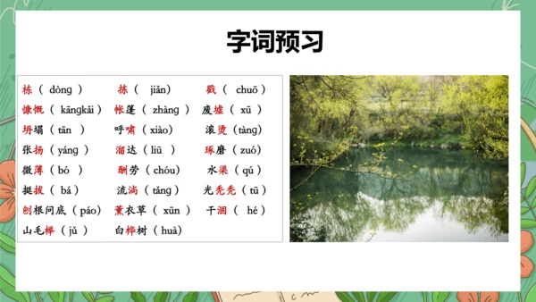 13《植树的牧羊人》课件(共35张PPT)