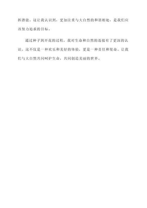 从种子到开花的感想