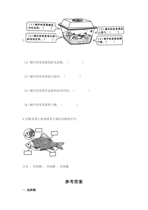 教科版一年级下册科学期末测试卷附答案【精练】.docx