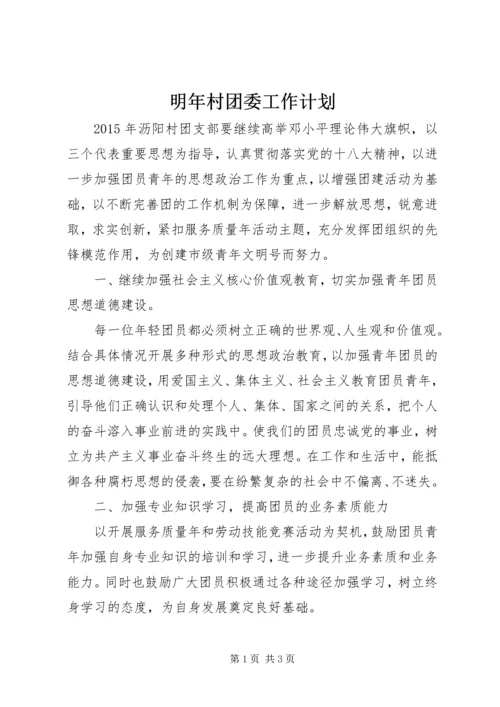 明年村团委工作计划.docx