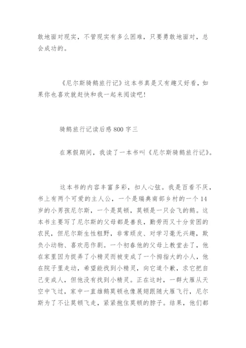 骑鹅旅行记读后感800字.docx