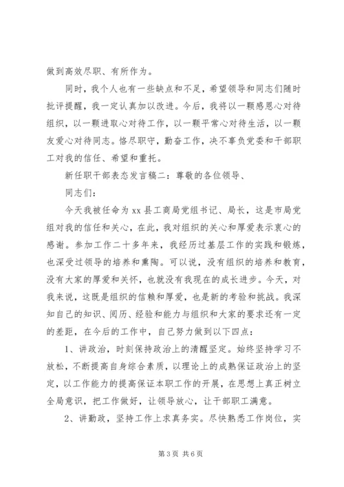 新任职领导干部表态发言稿.docx