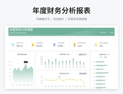 年度财务分析报表
