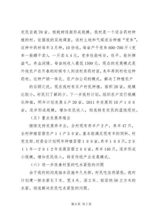 四庄坪村关于村庄整治的申请报告 (4).docx