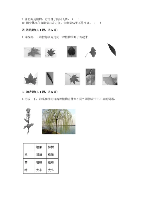 教科版小学一年级上册科学期末测试卷精品（基础题）