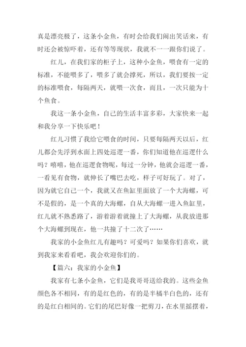 我家的小金鱼作文350字.docx