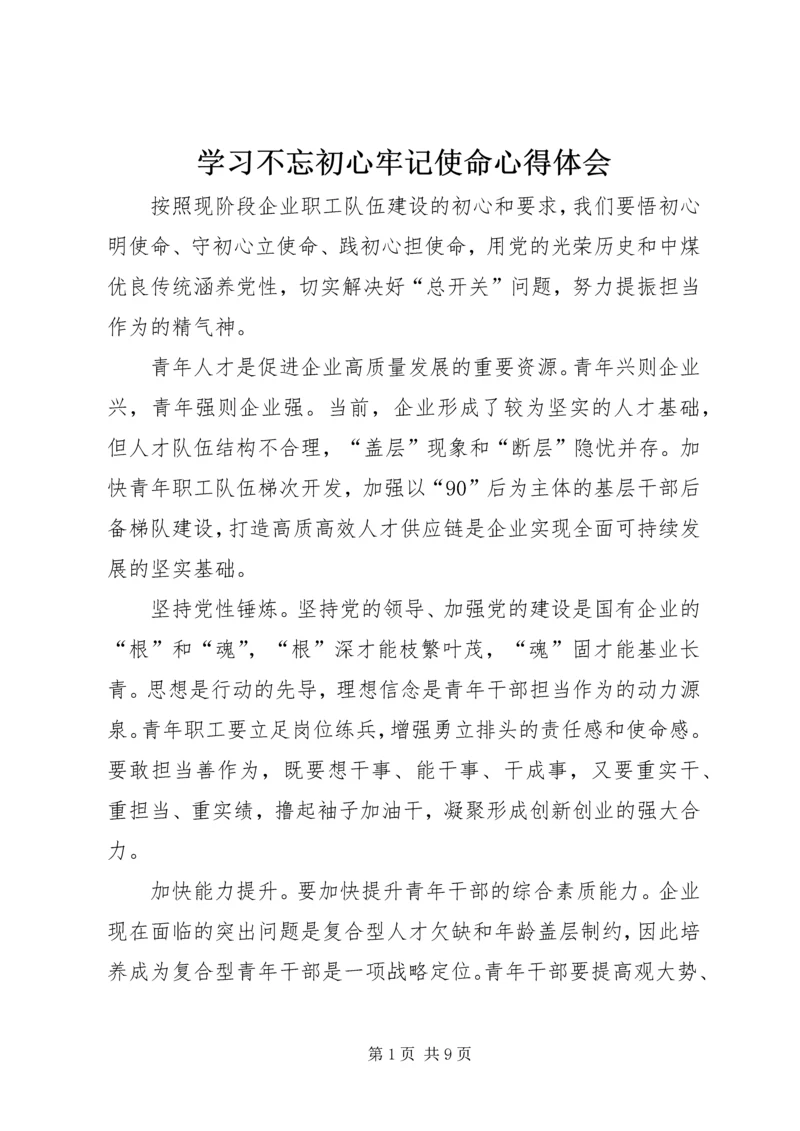 学习不忘初心牢记使命心得体会.docx