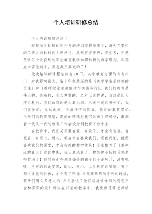 个人培训研修总结.docx