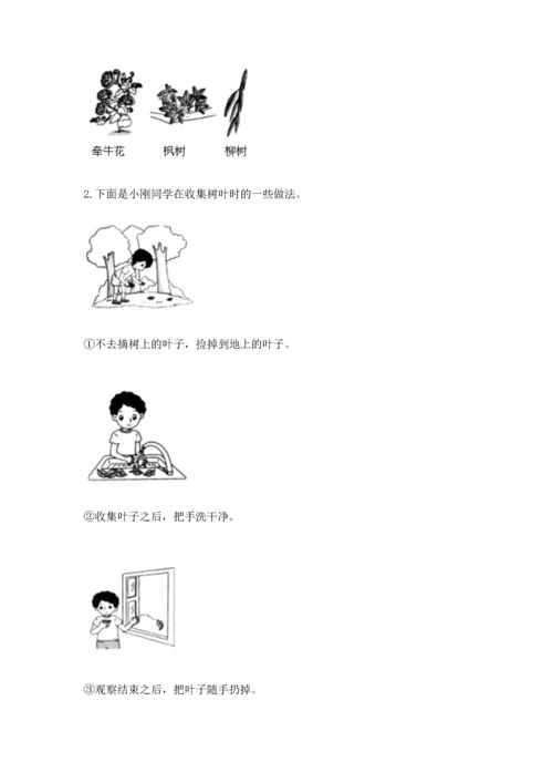 教科版科学一年级上册第一单元《植物》测试卷及1套参考答案.docx