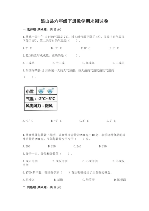 黑山县六年级下册数学期末测试卷及参考答案一套.docx