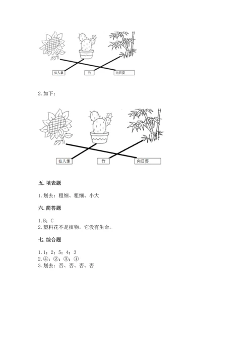 教科版科学一年级上册第一单元《植物》测试卷（历年真题）word版.docx