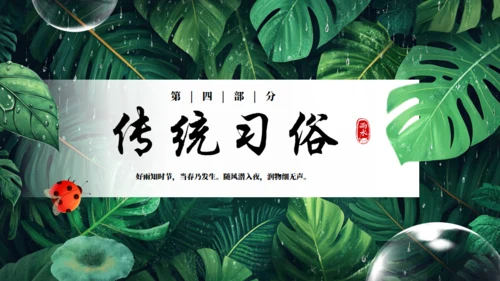 雨水节气通用PPT模板