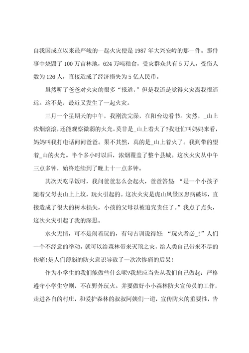 关于2022年清明节森林防火心得600字