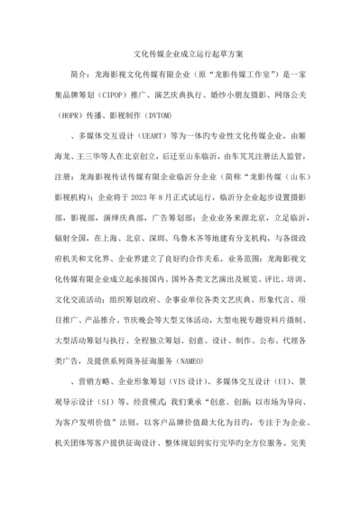 精选文化传媒公司成立运营起草方案.docx