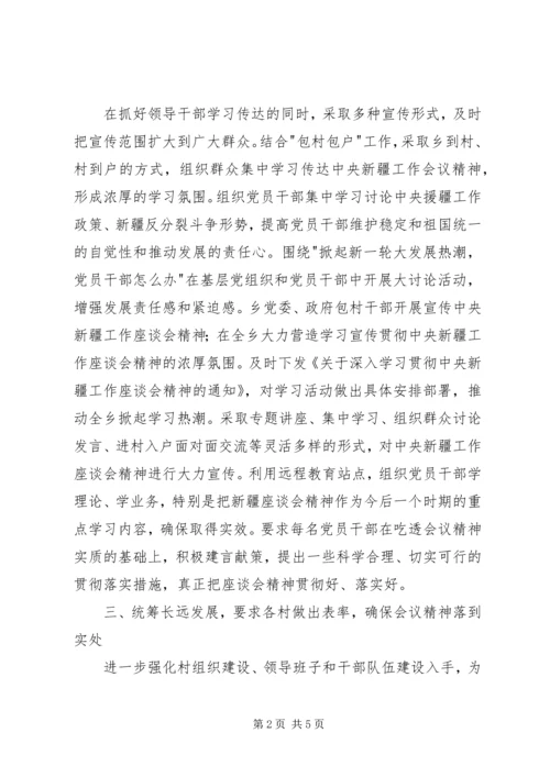 学习南疆工作会议心得体会.docx