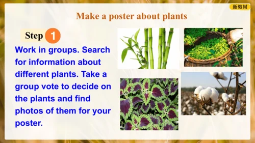 Unit 6 The power of plants Presenting ideas 课件 外研版