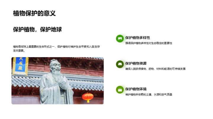 探索植物的奥秘