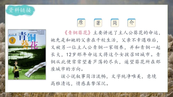 【核心素养】部编版语文四年级下册-21.芦花鞋（课件）