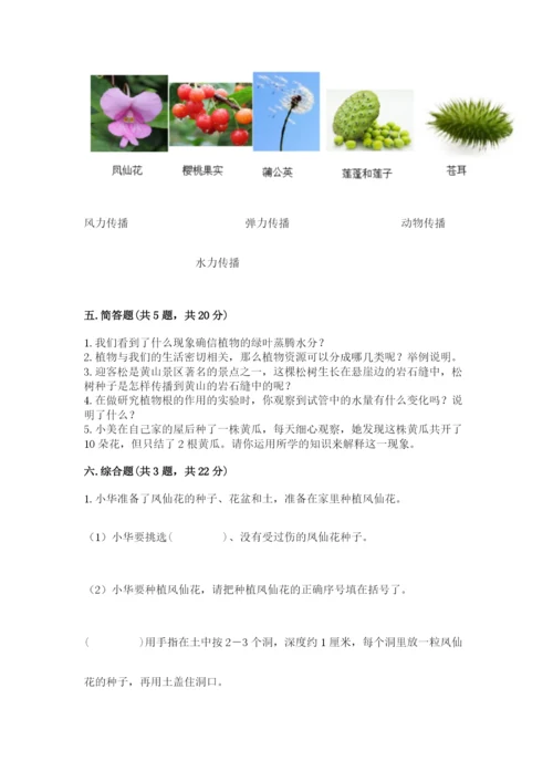 科学四年级下册第一单元《植物的生长变化》测试卷及答案【考点梳理】.docx