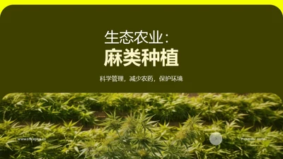 生态农业：麻类种植