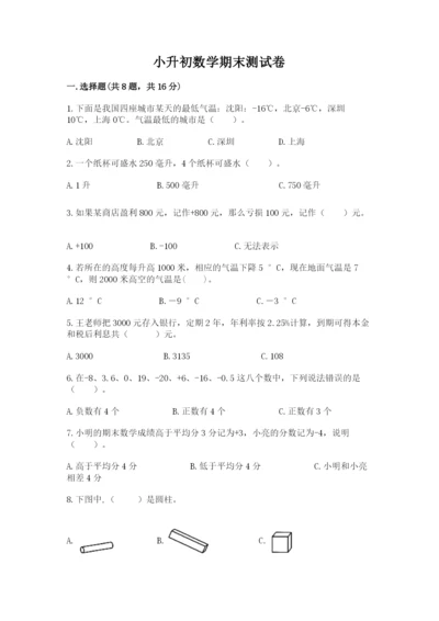 小升初数学期末测试卷及完整答案【有一套】.docx