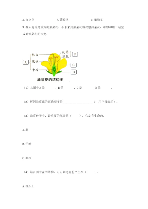 科学四年级下册第一单元《植物的生长变化》测试卷精品.docx