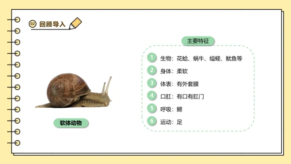 人教版生物八上 5.1无脊椎动物汇总 同步备课课件(共23张PPT)