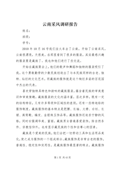 云南采风调研报告.docx