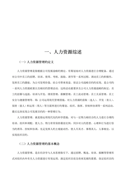 人力资源建设重点规划专题方案.docx