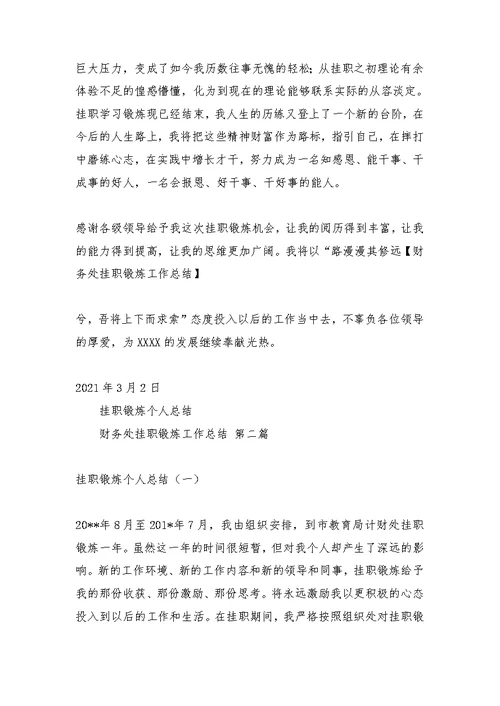 财务处挂职锻炼工作总结