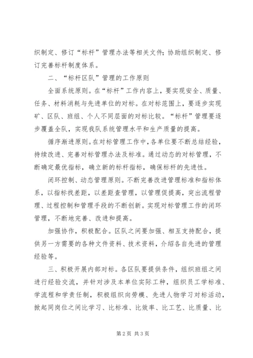 学习标杆单位成果汇报.docx