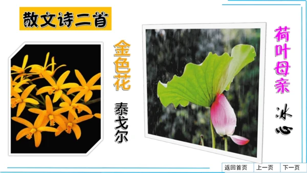 七上语文期中期末复习2_3词语运用每课晨读 课件(共47张PPT)