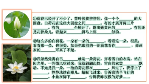 部编版三年级语文下册语文园地一  课件