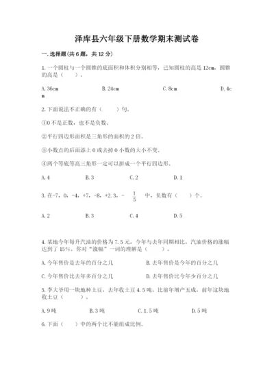 泽库县六年级下册数学期末测试卷（精练）.docx