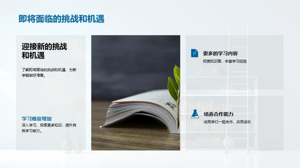 三年级：升级之旅