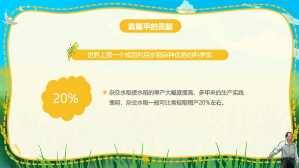 杂交水稻之父袁隆平通用PPT模板
