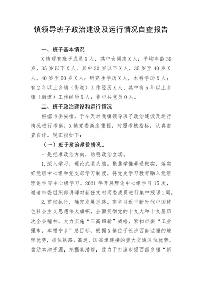 【自查报告】镇领导班子政治建设及运行情况自查报告.docx