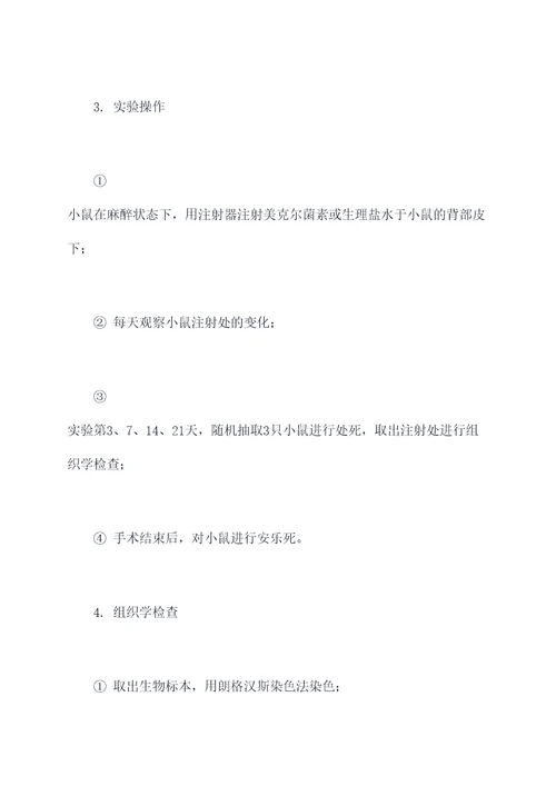 炎症与肉芽组织实验报告