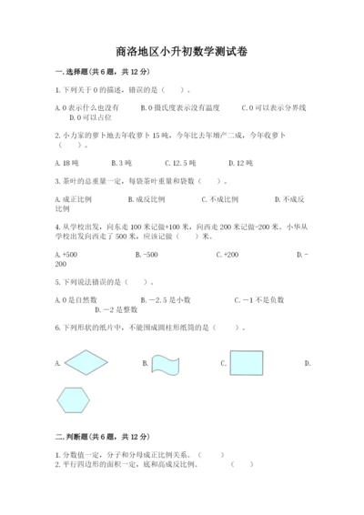 商洛地区小升初数学测试卷及完整答案一套.docx