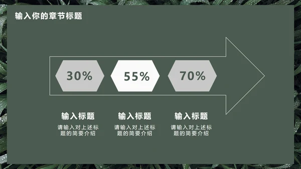 墨绿INS风小清新实景草地教学PPT模板