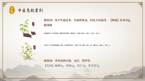 中国古风人物针灸药材中医常用急救技术教学宣传演讲模板