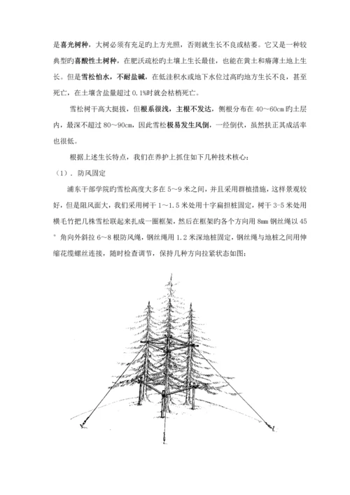 关键工程养护专题方案.docx