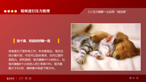 缓解压力培训管理通用PPT模板