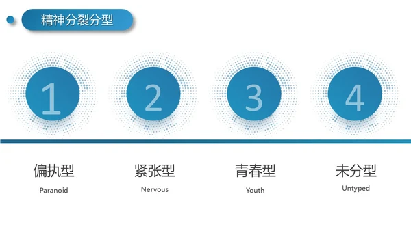 实拍风简约工作报告精神分裂症病例讨论培训PPT模板