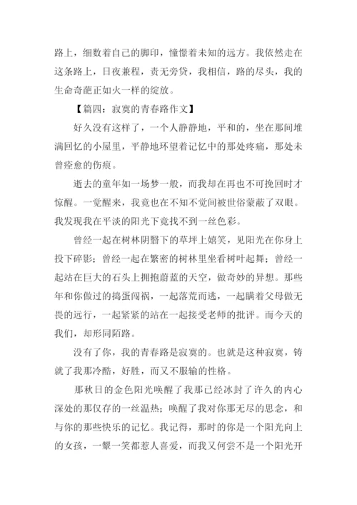 寂寞的青春路作文.docx