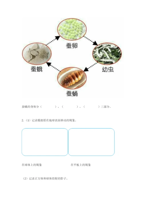 教科版三年级下册科学期末测试卷【达标题】.docx