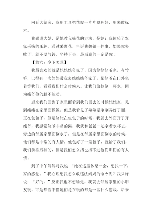 乡下美景作文400字-1.docx