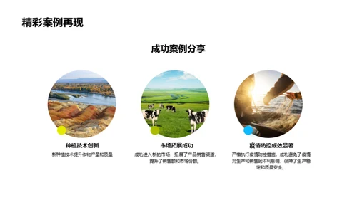 年度农业成就盘点
